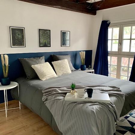 Appartement Les Bleuets - Centre Ville De 쏘뮤흐 외부 사진