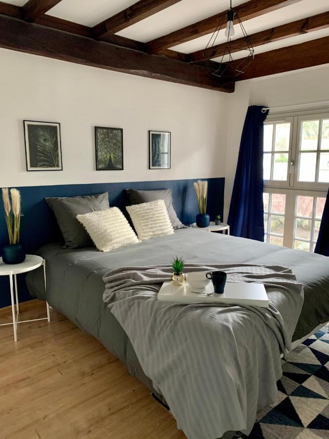 Appartement Les Bleuets - Centre Ville De 쏘뮤흐 외부 사진