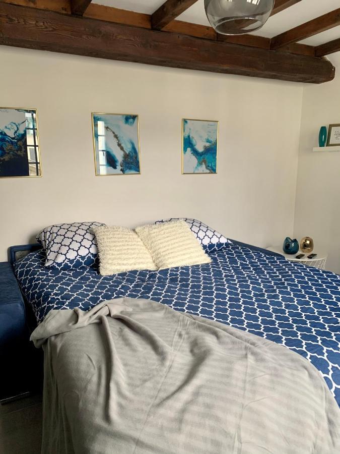Appartement Les Bleuets - Centre Ville De 쏘뮤흐 외부 사진
